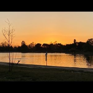 Meet your Posher, Mackenzie